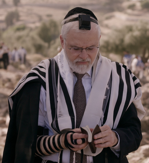 Rabbi Moshe Hauer